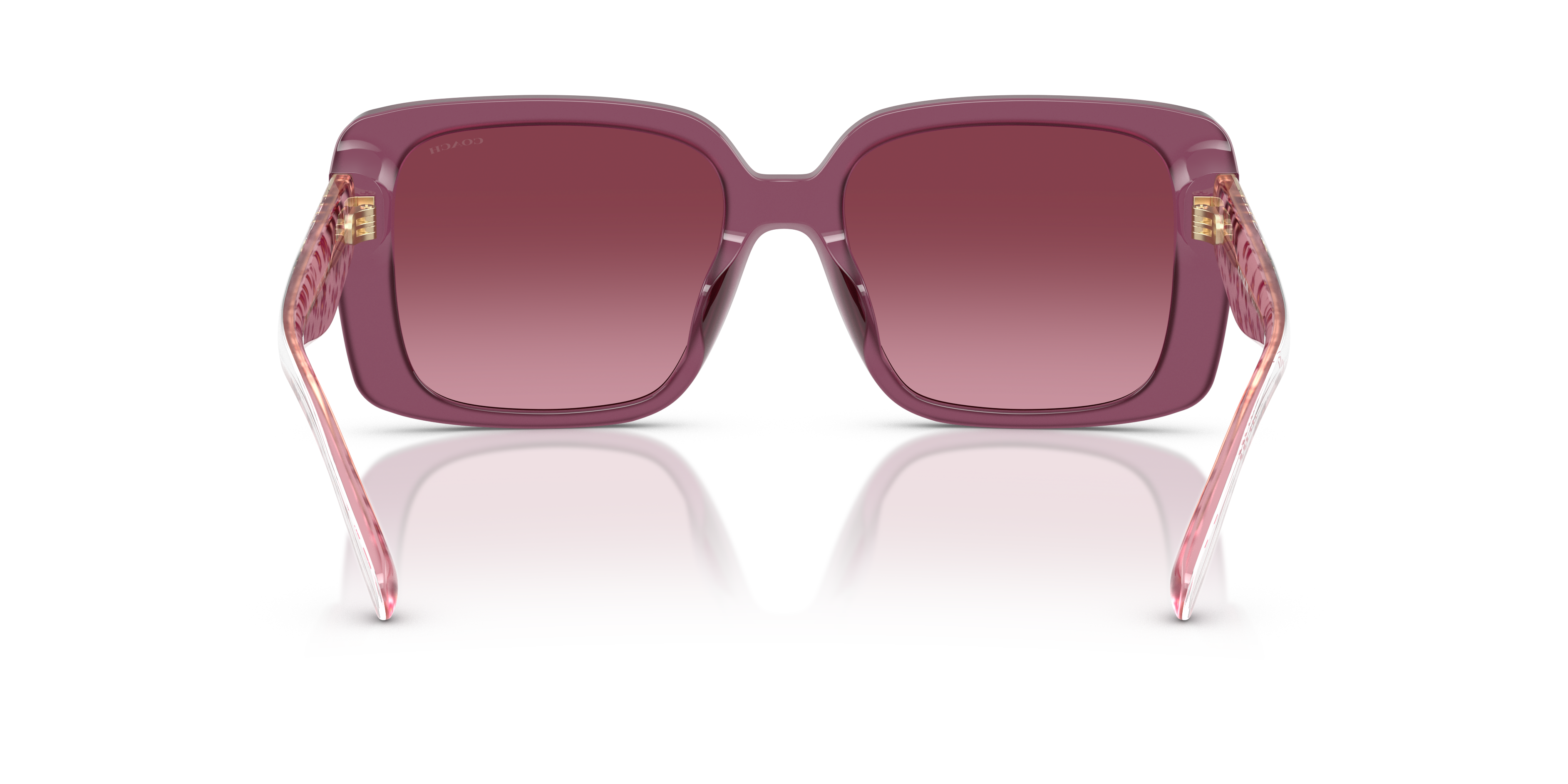 Coach HC8424U 59548H Cad54 